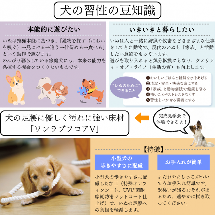 6f9a5fb6ab95828fb17a08bb2b48ed5e6ee21287.png